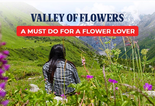 Valley of Flowers: A Must Do  Trek for Flower Lovers